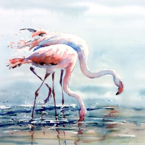 Flamingos by Julia Cassels