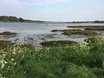 View from Woodbridge river wall