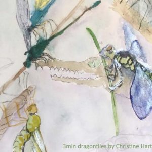 Christine Hart dragonflies SpeedSketch with Art Safari