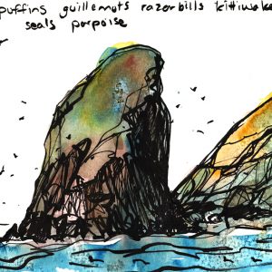 Skomer Island sketch, Claudia Myatt
