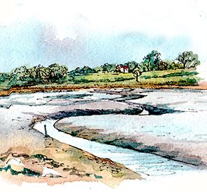 Martlesham Creek, Line and Wash sketch by Claudia Myatt