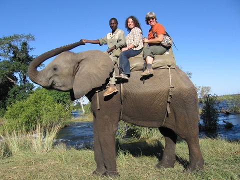 Sarah, Elephant Safari